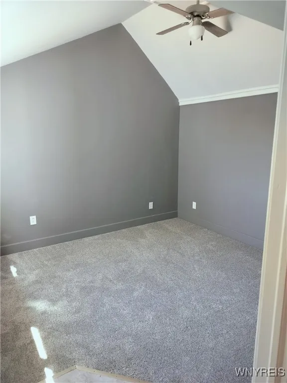 Lower Bedroom
