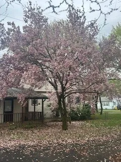 Side Porch view