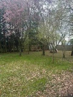 Double lot backyard view