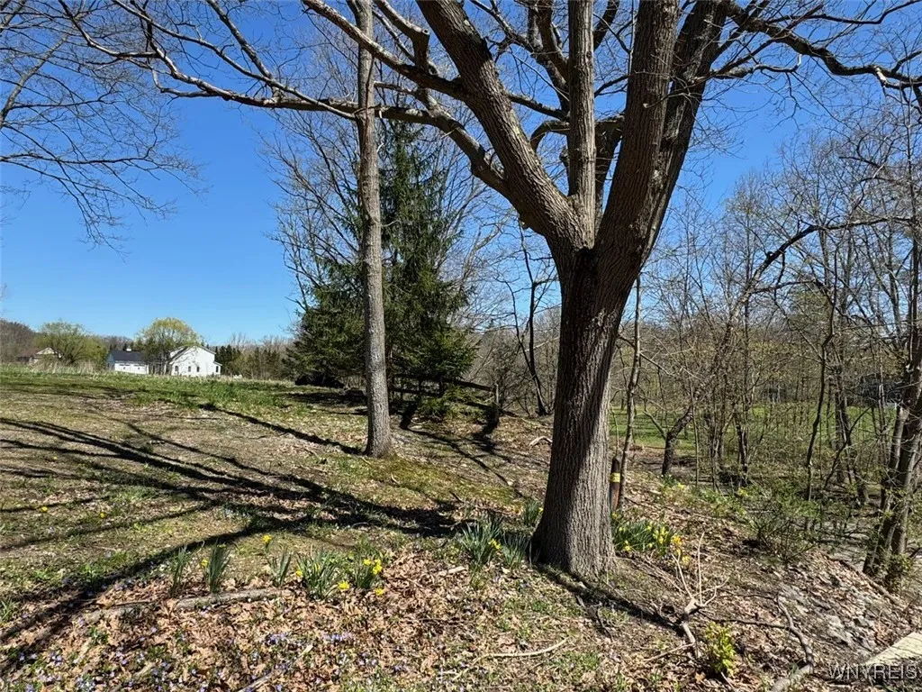 788 Grover Road, Aurora, New York 14052, Aurora, New York 14052, 3 Bedrooms Bedrooms, ,1 BathroomBathrooms,Land,Closed,788 Grover Road, Aurora, New York 14052,0,B1602698