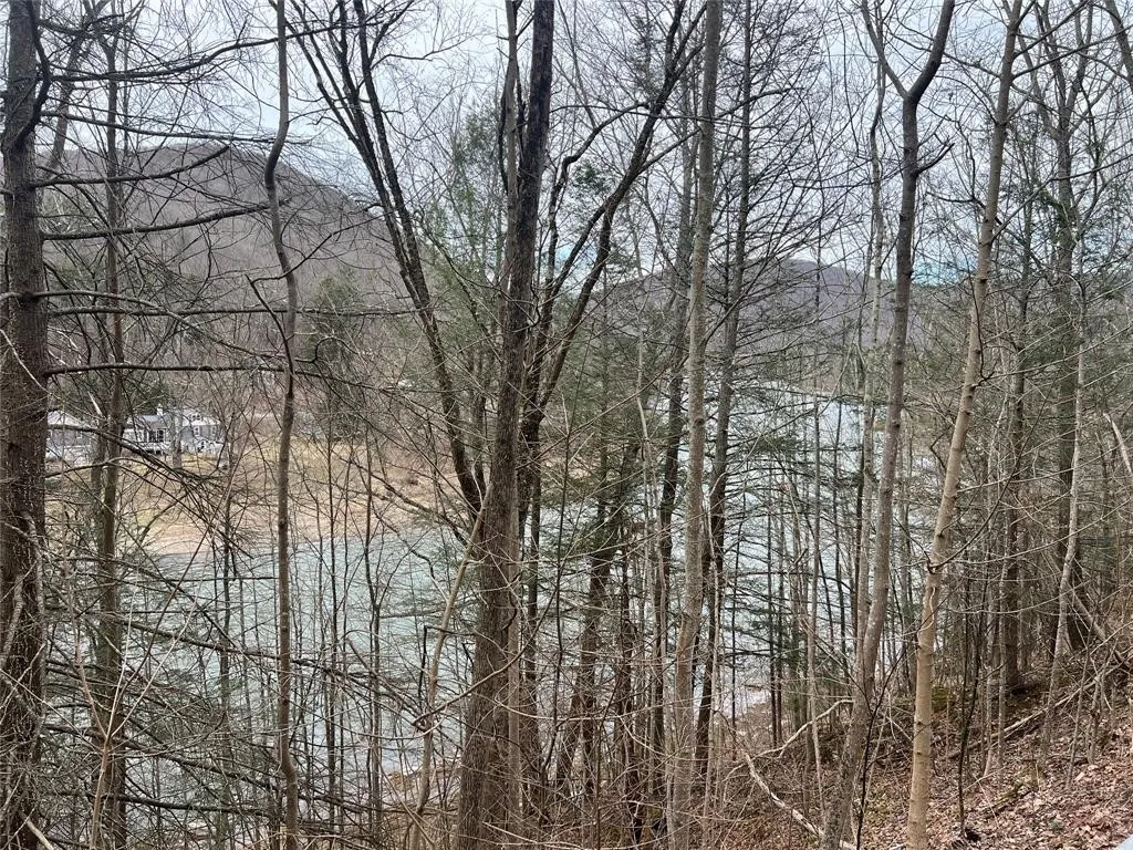 322 Peas Eddy Road, Hancock, New York 13783, Hancock, New York 13783, ,Land,For Sale,322 Peas Eddy Road, Hancock, New York 13783,0,R1599933