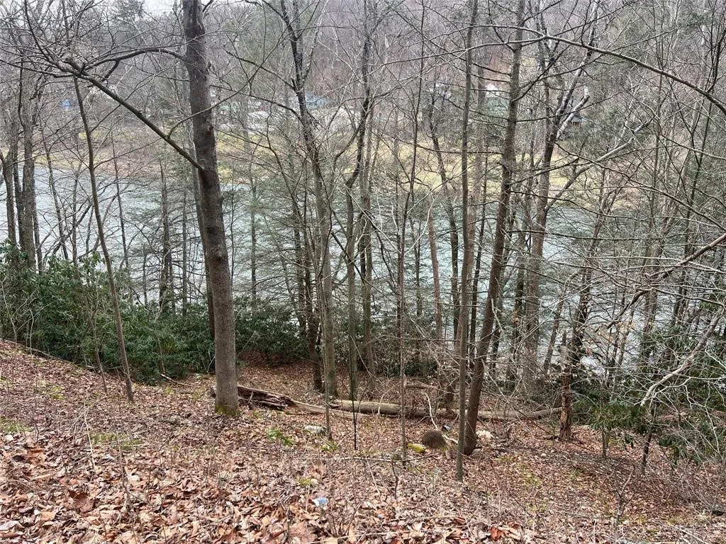 322 Peas Eddy Road, Hancock, New York 13783, Hancock, New York 13783, ,Land,For Sale,322 Peas Eddy Road, Hancock, New York 13783,0,R1599933