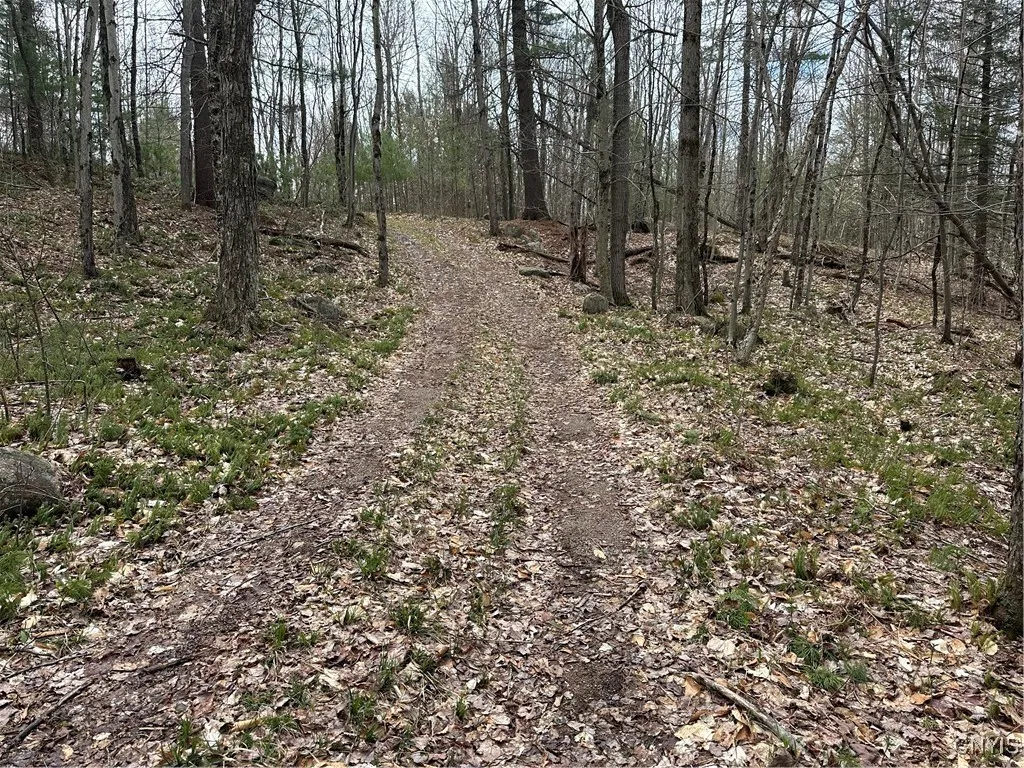 8564 Dicob Road, New Bremen, New York 13327, New Bremen, New York 13327, ,Land,Closed,8564 Dicob Road, New Bremen, New York 13327,0,S1603158