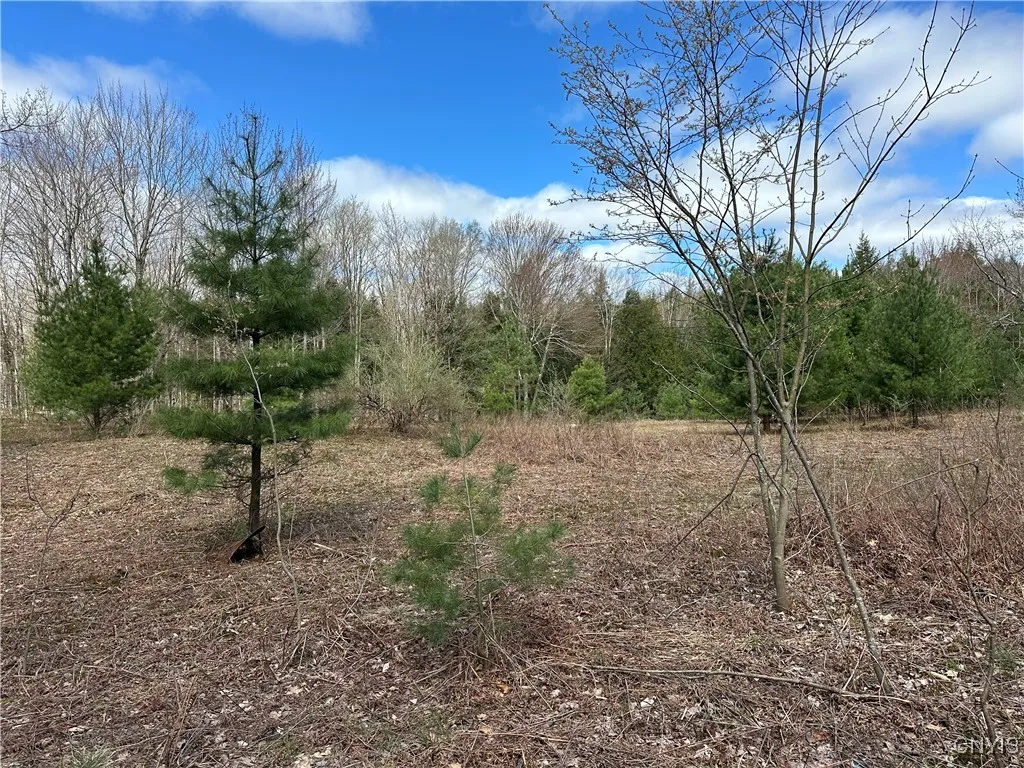 8564 Dicob Road, New Bremen, New York 13327, New Bremen, New York 13327, ,Land,Closed,8564 Dicob Road, New Bremen, New York 13327,0,S1603158