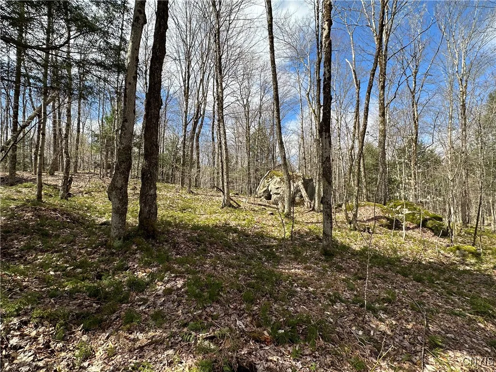 8564 Dicob Road, New Bremen, New York 13327, New Bremen, New York 13327, ,Land,Closed,8564 Dicob Road, New Bremen, New York 13327,0,S1603158