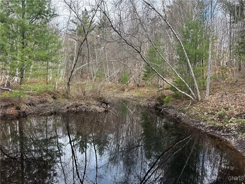 8564 Dicob Road, New Bremen, New York 13327, New Bremen, New York 13327, ,Land,Closed,8564 Dicob Road, New Bremen, New York 13327,0,S1603158