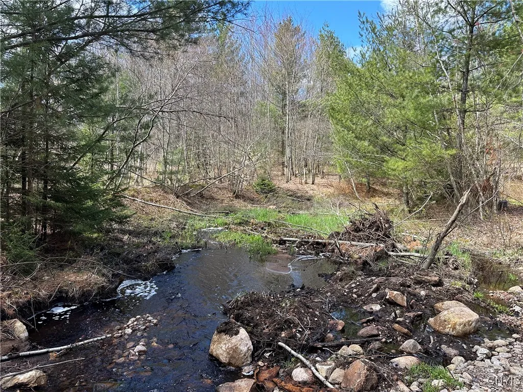 8564 Dicob Road, New Bremen, New York 13327, New Bremen, New York 13327, ,Land,Closed,8564 Dicob Road, New Bremen, New York 13327,0,S1603158