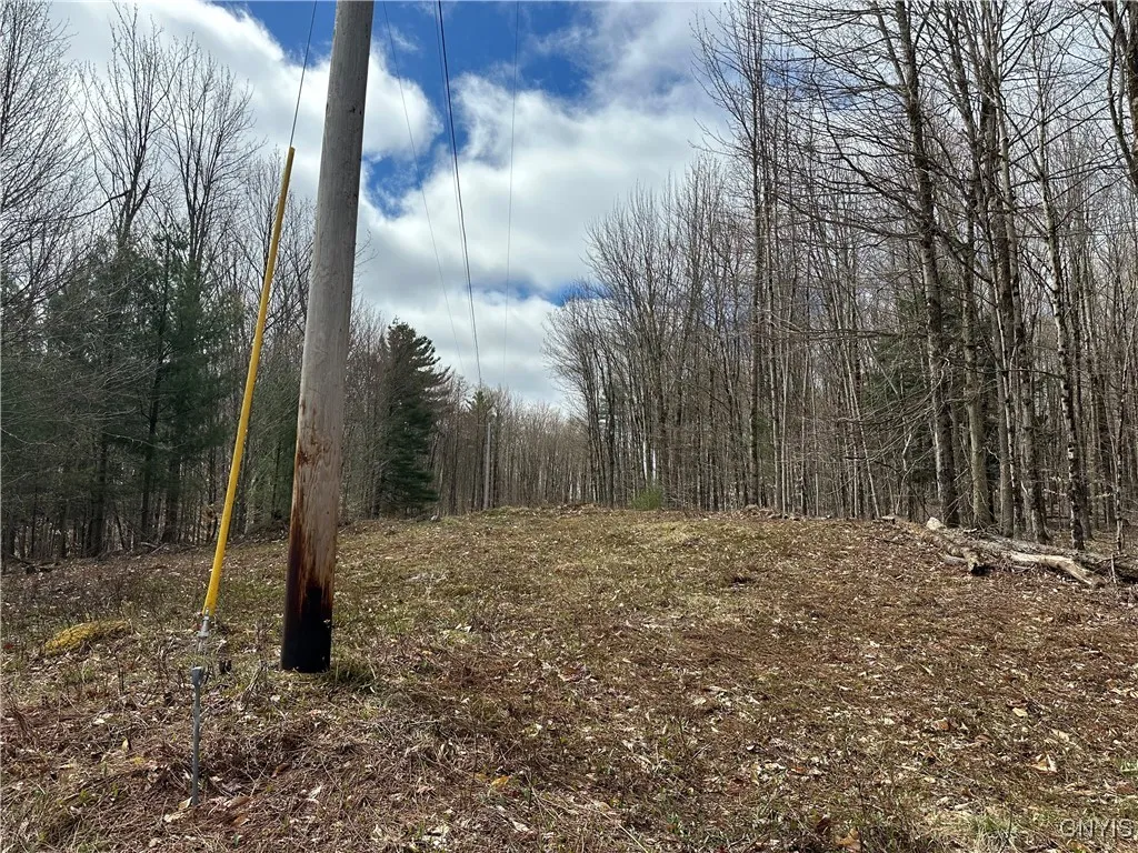 8564 Dicob Road, New Bremen, New York 13327, New Bremen, New York 13327, ,Land,Closed,8564 Dicob Road, New Bremen, New York 13327,0,S1603158