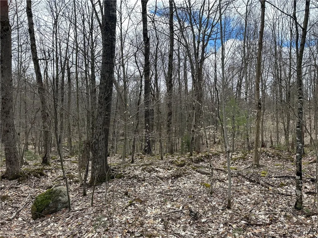 8564 Dicob Road, New Bremen, New York 13327, New Bremen, New York 13327, ,Land,Closed,8564 Dicob Road, New Bremen, New York 13327,0,S1603158