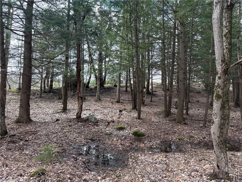 8564 Dicob Road, New Bremen, New York 13327, New Bremen, New York 13327, ,Land,Closed,8564 Dicob Road, New Bremen, New York 13327,0,S1603158