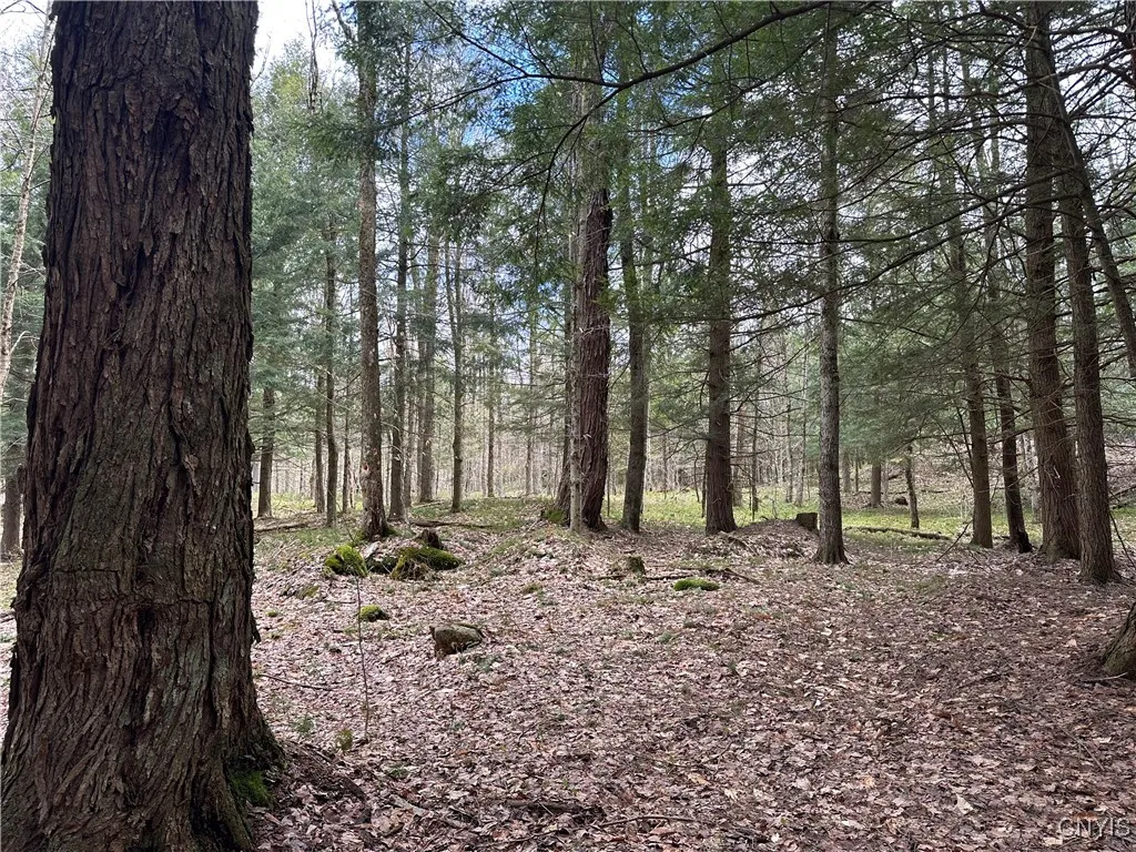 8564 Dicob Road, New Bremen, New York 13327, New Bremen, New York 13327, ,Land,Closed,8564 Dicob Road, New Bremen, New York 13327,0,S1603158