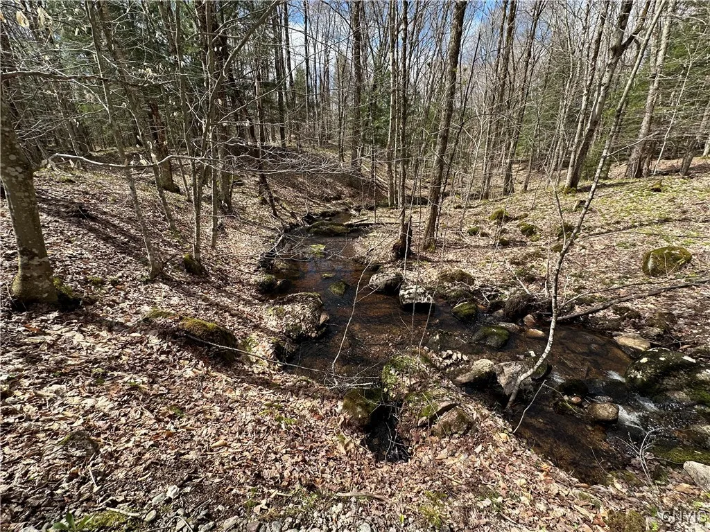 8564 Dicob Road, New Bremen, New York 13327, New Bremen, New York 13327, ,Land,Closed,8564 Dicob Road, New Bremen, New York 13327,0,S1603158