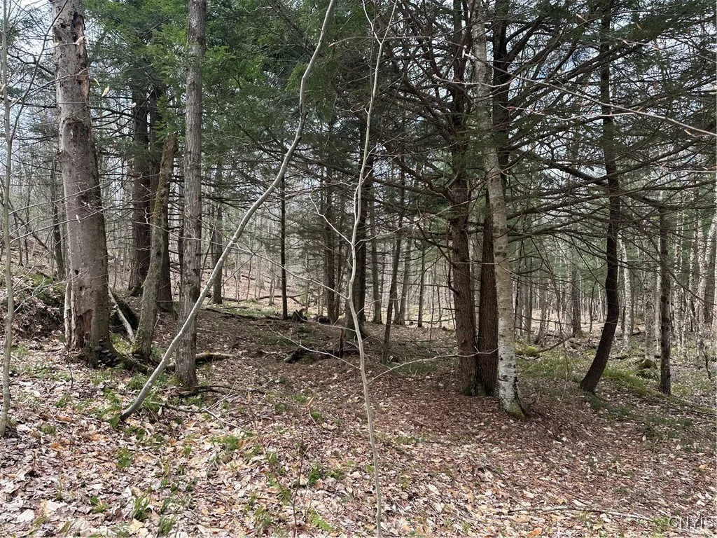 8564 Dicob Road, New Bremen, New York 13327, New Bremen, New York 13327, ,Land,Closed,8564 Dicob Road, New Bremen, New York 13327,0,S1603158