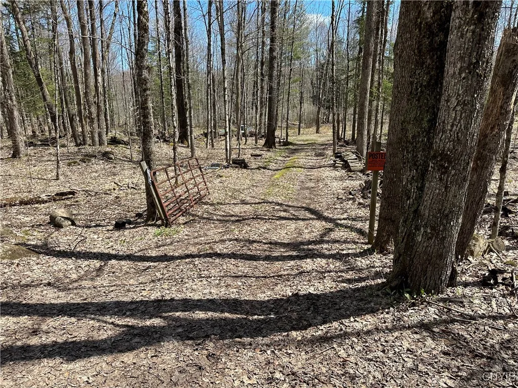 8564 Dicob Road, New Bremen, New York 13327, New Bremen, New York 13327, ,Land,Closed,8564 Dicob Road, New Bremen, New York 13327,0,S1603158