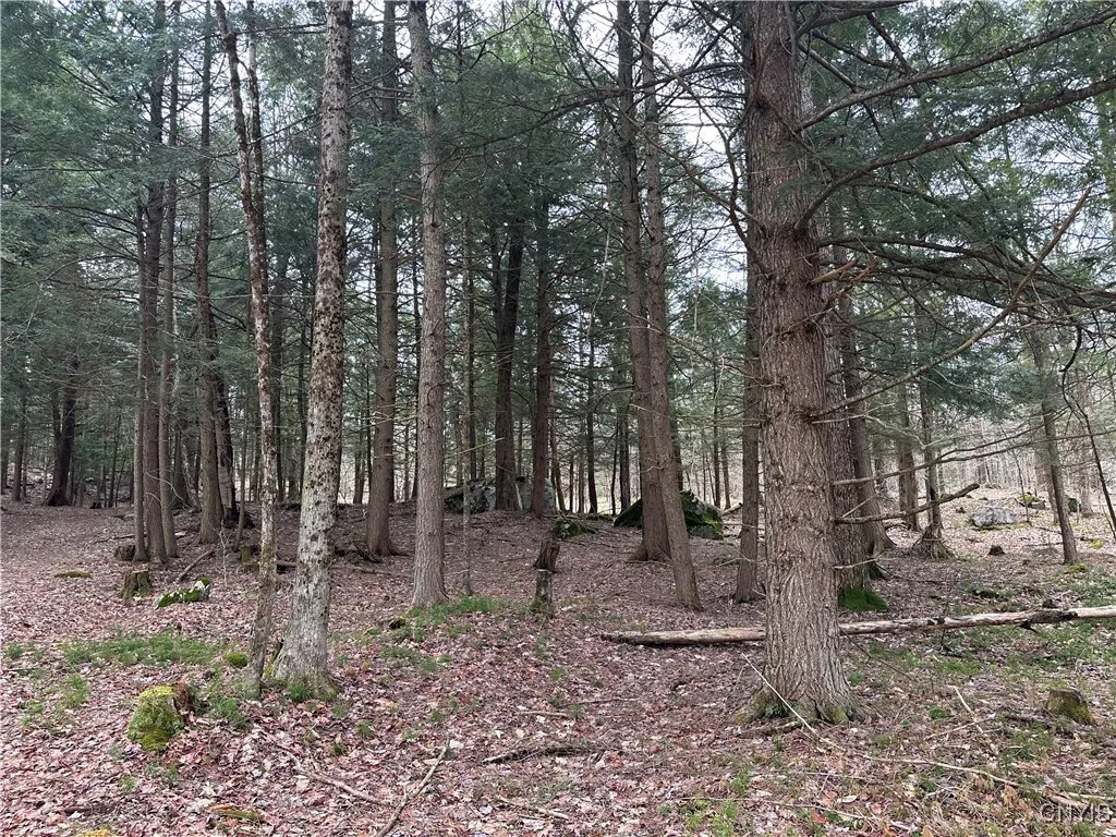 8564 Dicob Road, New Bremen, New York 13327, New Bremen, New York 13327, ,Land,Closed,8564 Dicob Road, New Bremen, New York 13327,0,S1603158