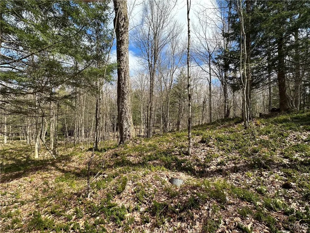 8564 Dicob Road, New Bremen, New York 13327, New Bremen, New York 13327, ,Land,Closed,8564 Dicob Road, New Bremen, New York 13327,0,S1603158