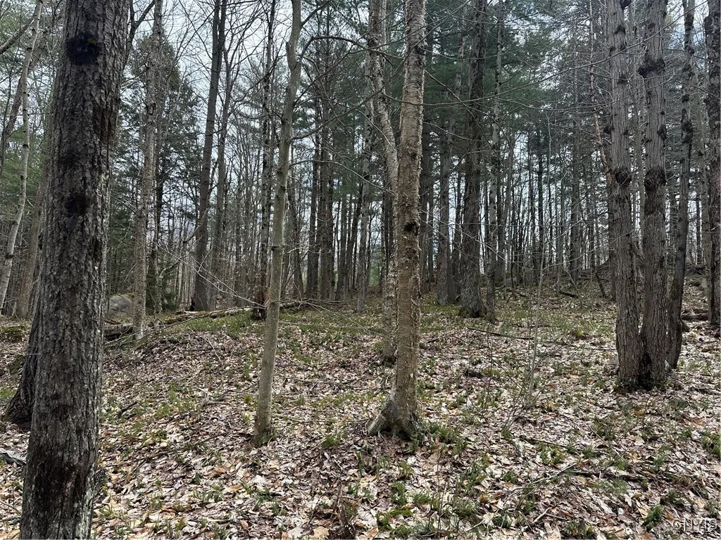 8564 Dicob Road, New Bremen, New York 13327, New Bremen, New York 13327, ,Land,Closed,8564 Dicob Road, New Bremen, New York 13327,0,S1603158