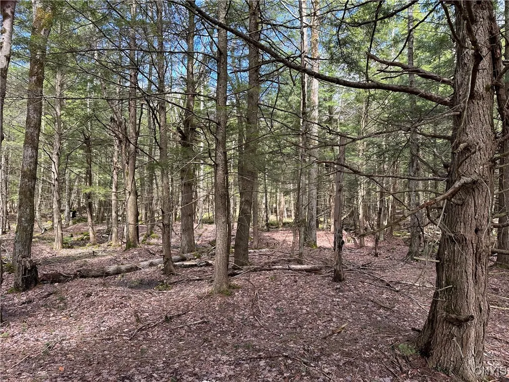 8564 Dicob Road, New Bremen, New York 13327, New Bremen, New York 13327, ,Land,Closed,8564 Dicob Road, New Bremen, New York 13327,0,S1603158