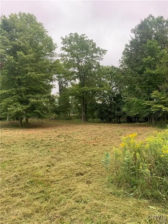 122 S Of Otter Pond Road, Alexandria, New York 136, Alexandria, New York 13607, ,Land,For Sale,122 S Of Otter Pond Road, Alexandria, New York 136,0,S1603506