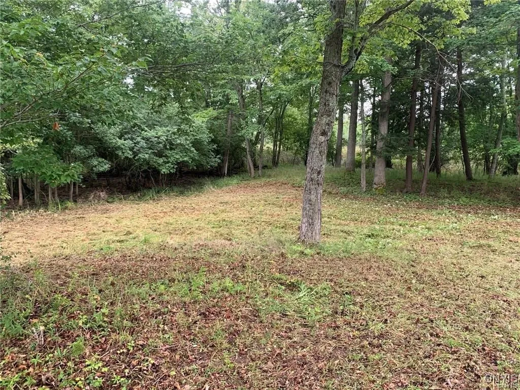 122 S Of Otter Pond Road, Alexandria, New York 136, Alexandria, New York 13607, ,Land,For Sale,122 S Of Otter Pond Road, Alexandria, New York 136,0,S1603506