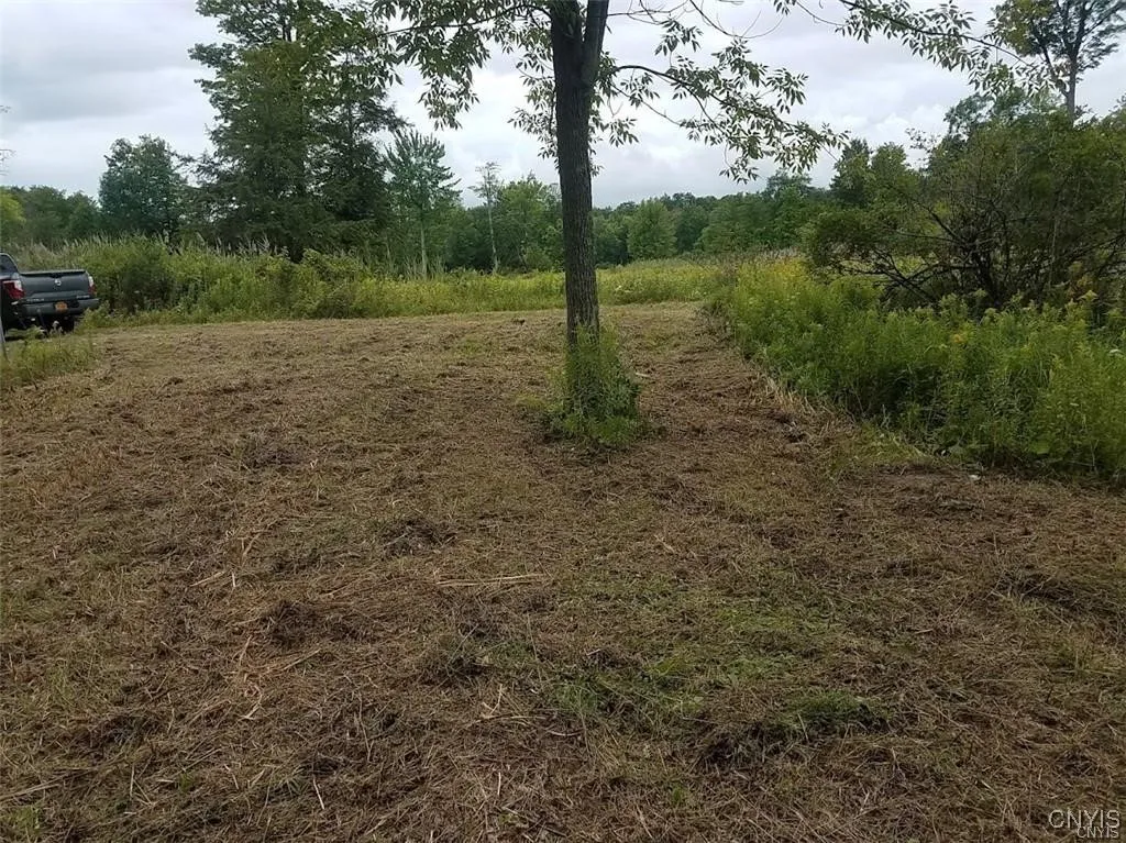 122 S Of Otter Pond Road, Alexandria, New York 136, Alexandria, New York 13607, ,Land,For Sale,122 S Of Otter Pond Road, Alexandria, New York 136,0,S1603506