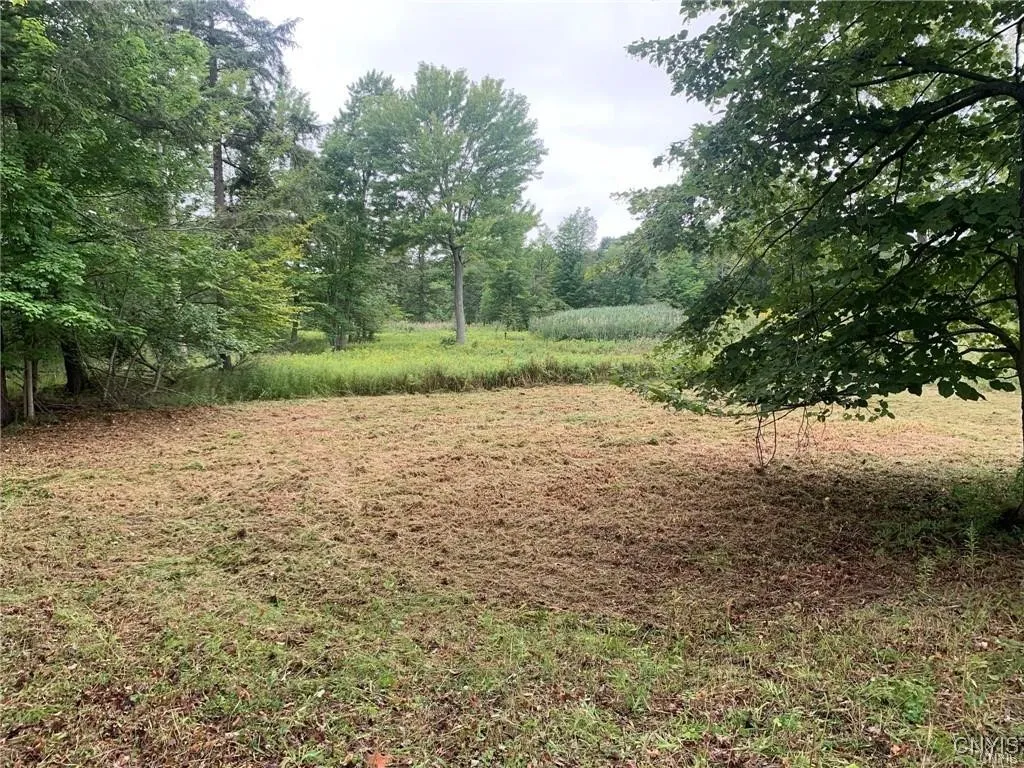 122 S Of Otter Pond Road, Alexandria, New York 136, Alexandria, New York 13607, ,Land,For Sale,122 S Of Otter Pond Road, Alexandria, New York 136,0,S1603506