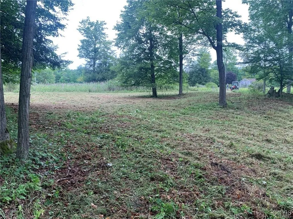 122 S Of Otter Pond Road, Alexandria, New York 136, Alexandria, New York 13607, ,Land,For Sale,122 S Of Otter Pond Road, Alexandria, New York 136,0,S1603506