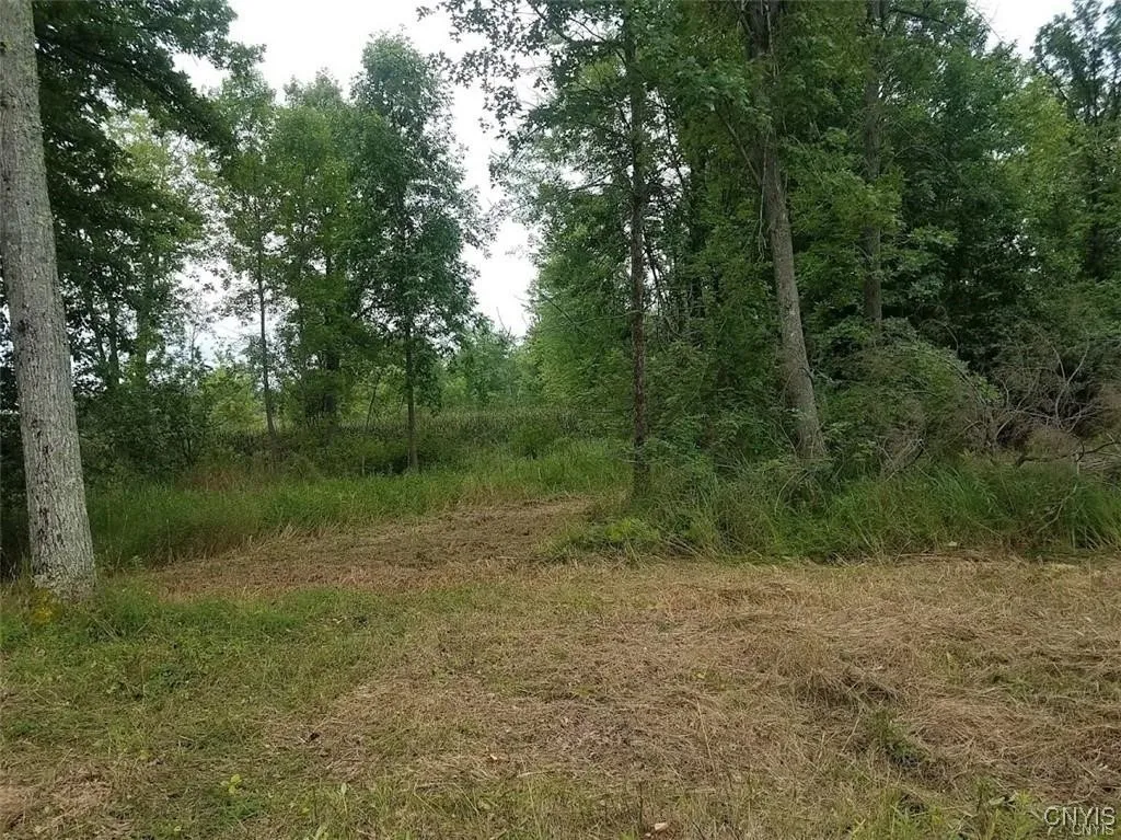 122 S Of Otter Pond Road, Alexandria, New York 136, Alexandria, New York 13607, ,Land,For Sale,122 S Of Otter Pond Road, Alexandria, New York 136,0,S1603506