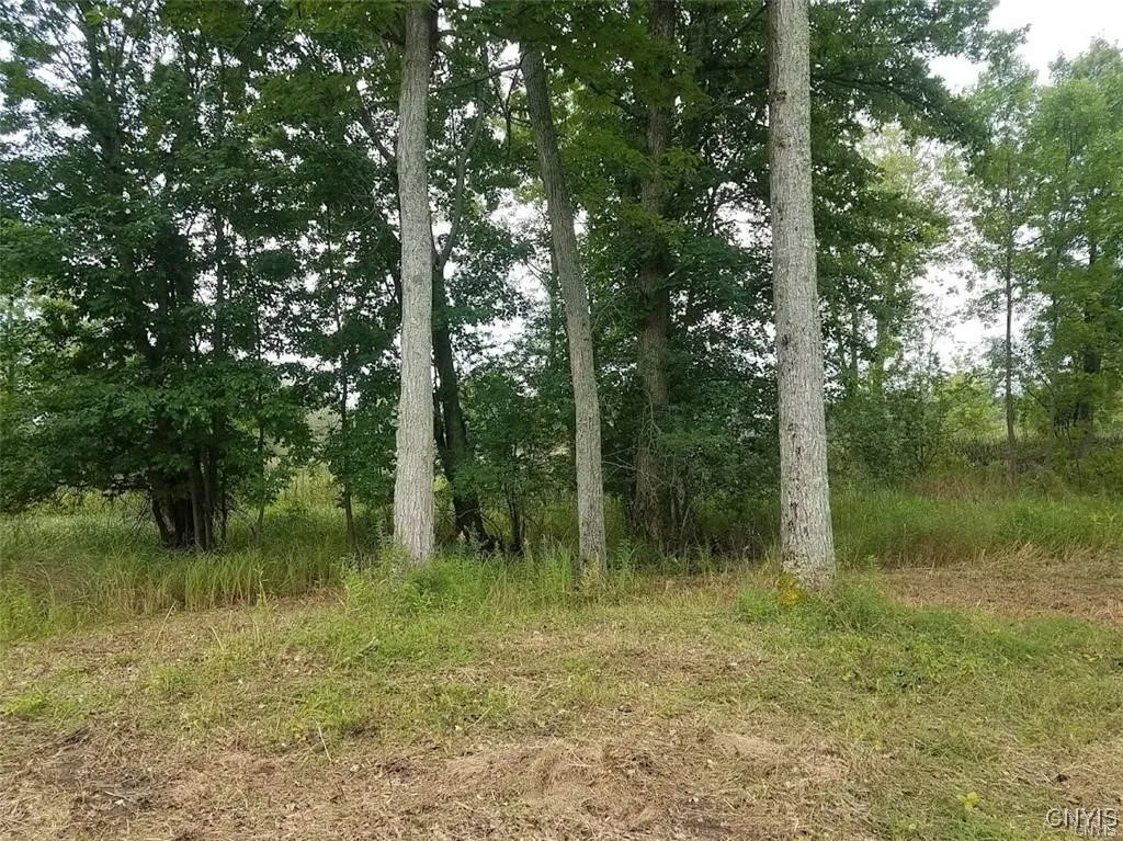 122 S Of Otter Pond Road, Alexandria, New York 136, Alexandria, New York 13607, ,Land,For Sale,122 S Of Otter Pond Road, Alexandria, New York 136,0,S1603506