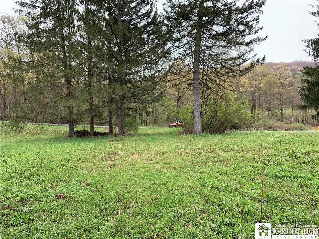 6805 Poverty Hill Road, Ellicottville, New York 14, Ellicottville, New York 14731, ,Land,For Sale,6805 Poverty Hill Road, Ellicottville, New York 14,0,R1603580