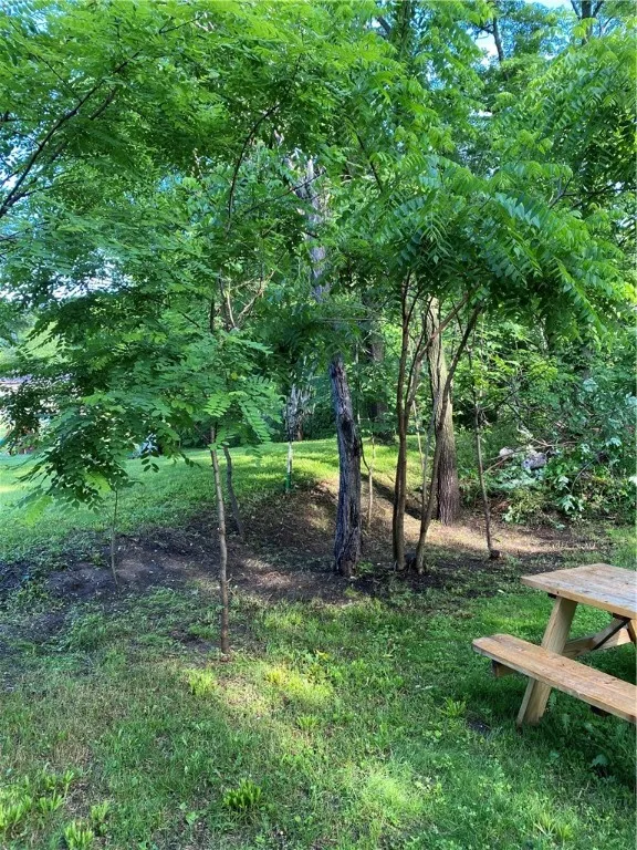 3764 Italy Hill Road, Jerusalem, New York 14418, Jerusalem, New York 14418, ,Land,For Sale,3764 Italy Hill Road, Jerusalem, New York 14418,R1602746