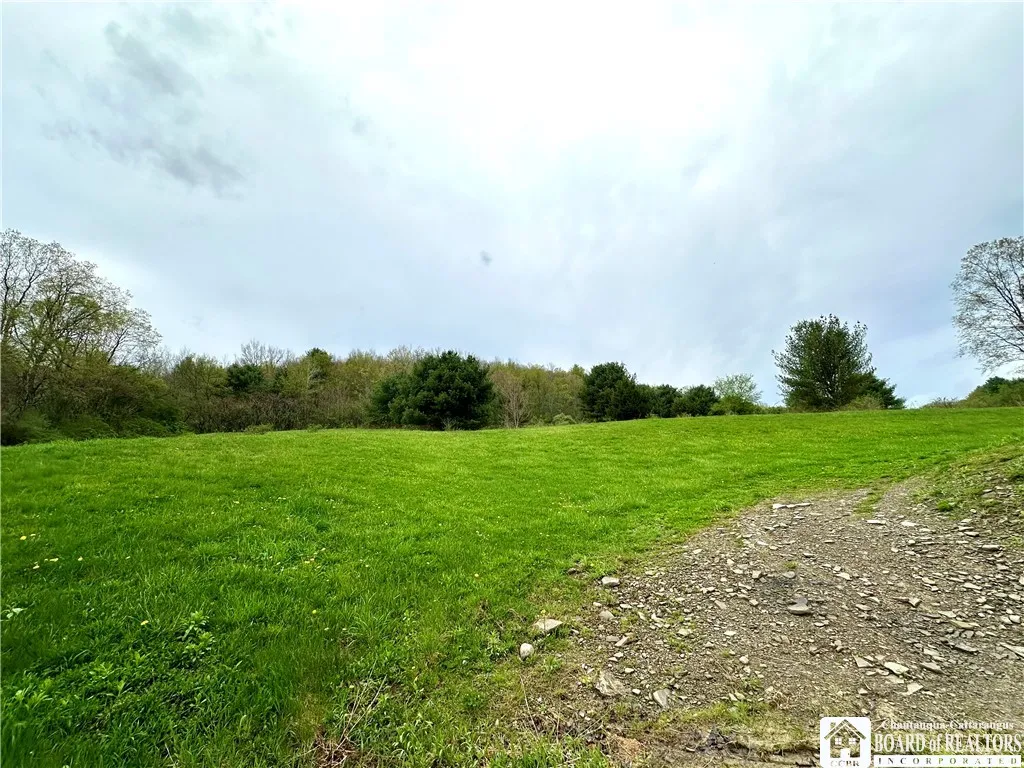 3542 Morgan Hollow Road, Allegany, New York 14706, Allegany, New York 14706, 3 Bedrooms Bedrooms, 8 Rooms Rooms,2 BathroomsBathrooms,Residential,Closed,3542 Morgan Hollow Road, Allegany, New York 14706,R1603754