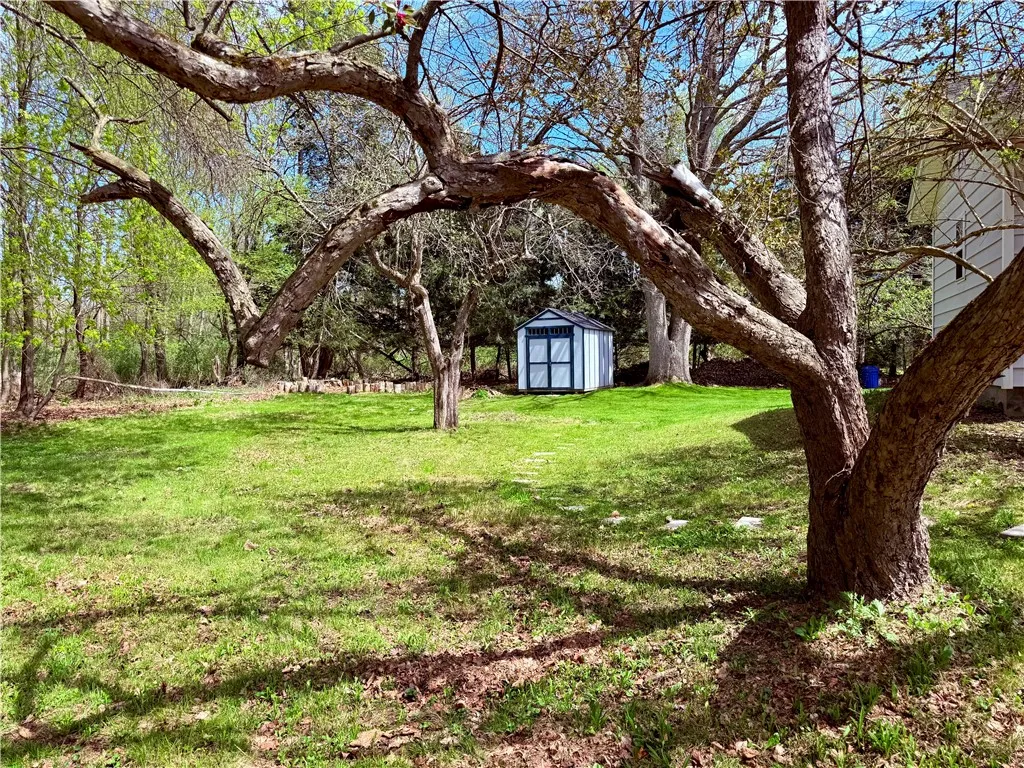 Large flat yard to enjoy with mature trees