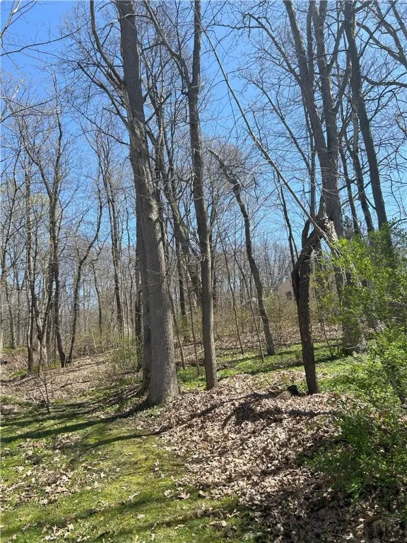 Janes Road, Castile, New York 13901, Castile, New York 13901, ,Land,For Sale,Janes Road, Castile, New York 13901,0,R1603875