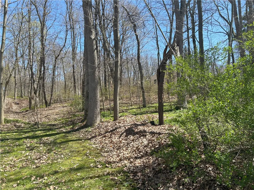 Janes Road, Castile, New York 13901, Castile, New York 13901, ,Land,For Sale,Janes Road, Castile, New York 13901,0,R1603875