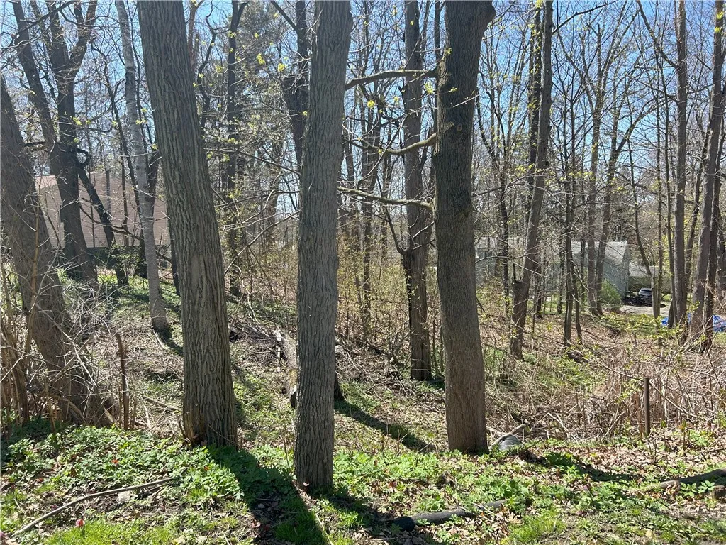 Janes Road, Castile, New York 13901, Castile, New York 13901, ,Land,For Sale,Janes Road, Castile, New York 13901,0,R1603875