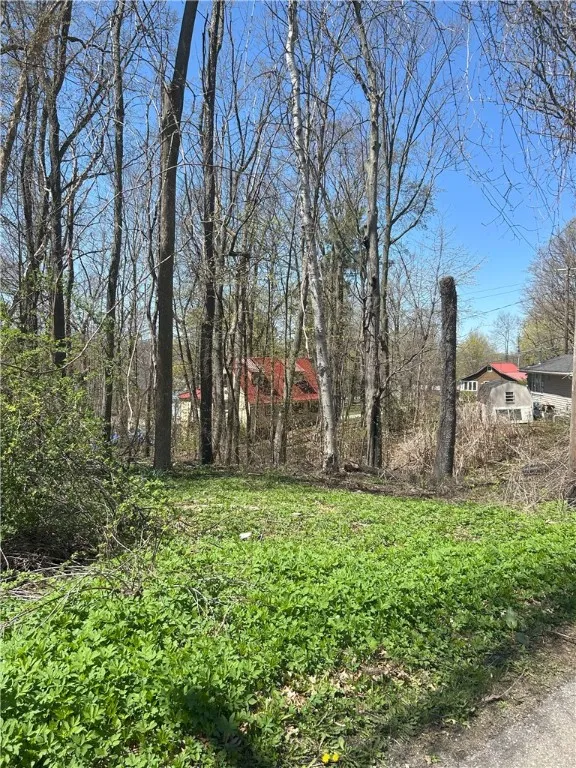 Janes Road, Castile, New York 13901, Castile, New York 13901, ,Land,For Sale,Janes Road, Castile, New York 13901,0,R1603875