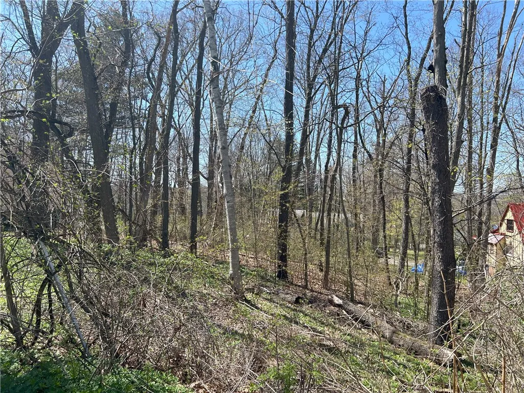 Janes Road, Castile, New York 13901, Castile, New York 13901, ,Land,For Sale,Janes Road, Castile, New York 13901,0,R1603875