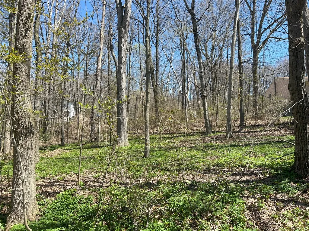 Janes Road, Castile, New York 13901, Castile, New York 13901, ,Land,For Sale,Janes Road, Castile, New York 13901,0,R1603875
