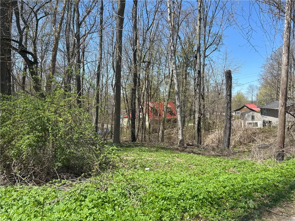 Janes Road, Castile, New York 13901, Castile, New York 13901, ,Land,For Sale,Janes Road, Castile, New York 13901,0,R1603875