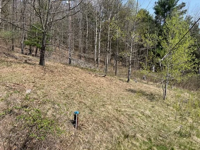2871 South Broadway Highway, Ashland, New York 148, Ashland, New York 14894, 3 Bedrooms Bedrooms, 3 Rooms Rooms,2 BathroomsBathrooms,Residential,Closed,2871 South Broadway Highway, Ashland, New York 148,R1603915
