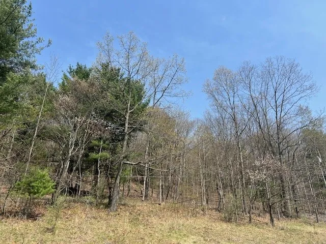2871 South Broadway Highway, Ashland, New York 148, Ashland, New York 14894, 3 Bedrooms Bedrooms, 3 Rooms Rooms,2 BathroomsBathrooms,Residential,Closed,2871 South Broadway Highway, Ashland, New York 148,R1603915