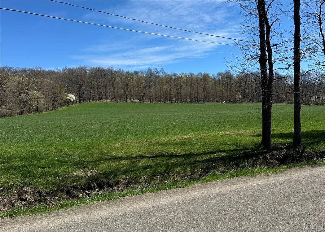 Patterson, Otisco, New York 13110, Otisco, New York 13110, ,Land,Closed,Patterson, Otisco, New York 13110,0,S1603968