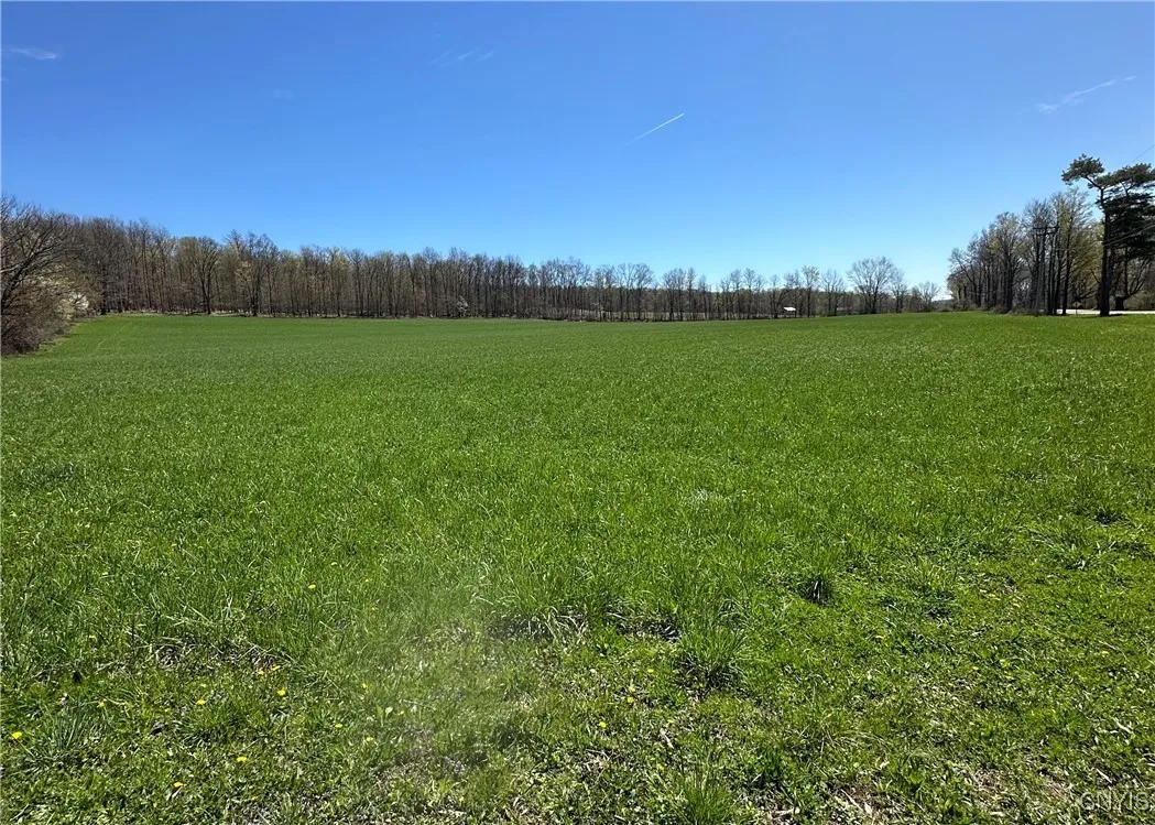 Patterson, Otisco, New York 13110, Otisco, New York 13110, ,Land,Closed,Patterson, Otisco, New York 13110,0,S1603968