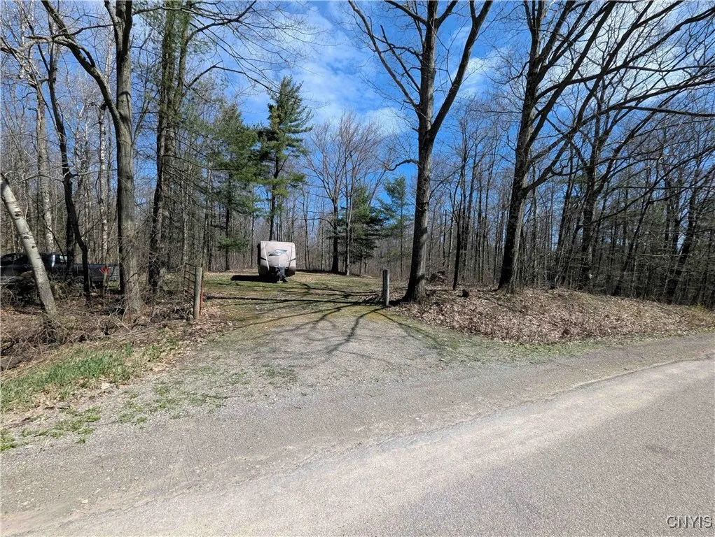Swartz Road, Springwater, New York 14437, Springwater, New York 14437, ,Land,Closed,Swartz Road, Springwater, New York 14437,0,S1604010