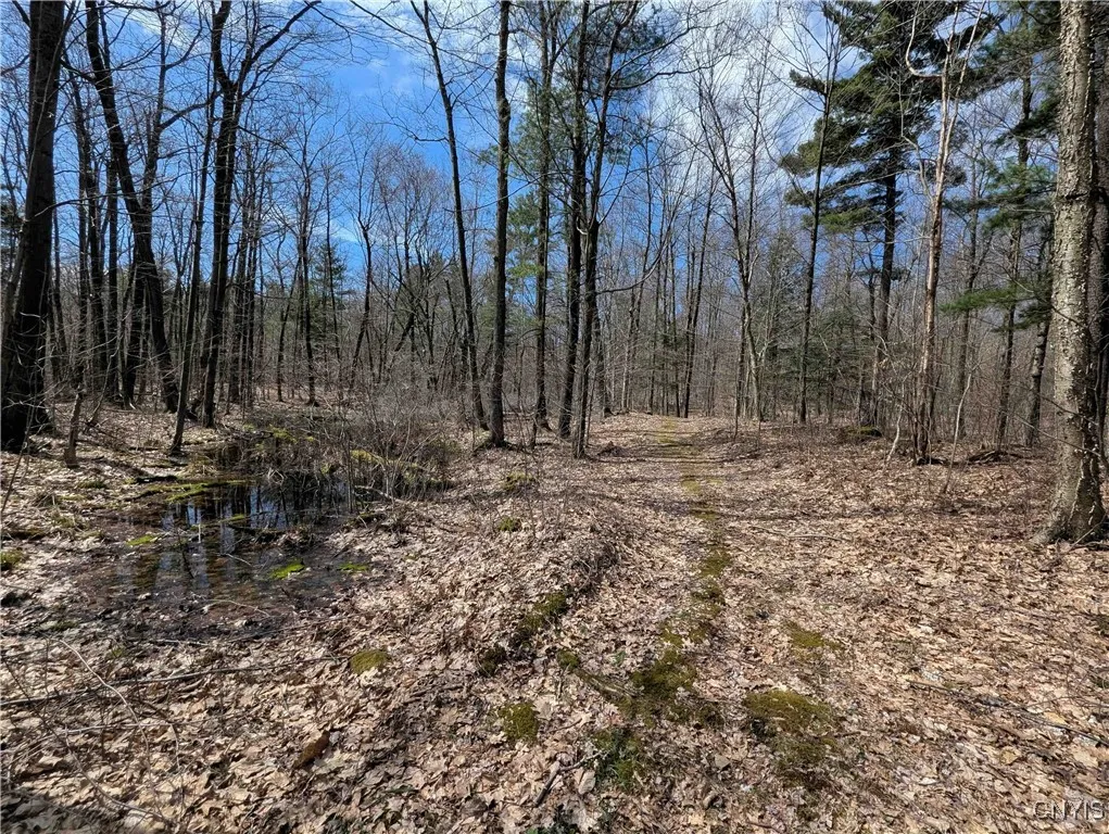 Swartz Road, Springwater, New York 14437, Springwater, New York 14437, ,Land,Closed,Swartz Road, Springwater, New York 14437,0,S1604010