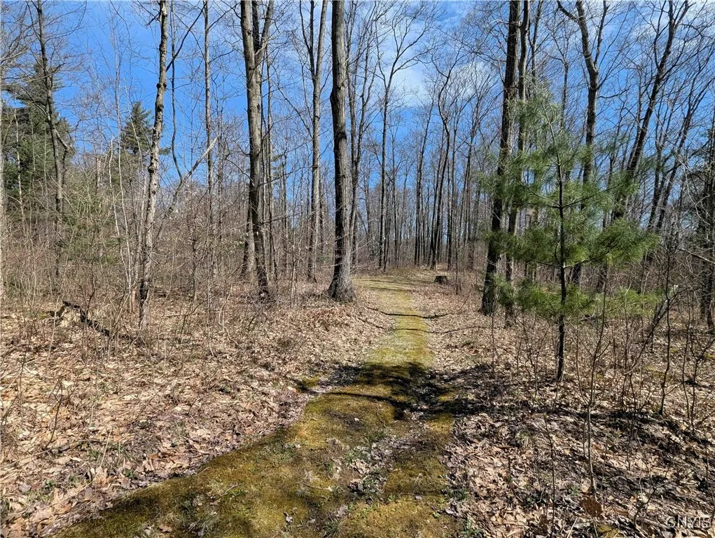 Swartz Road, Springwater, New York 14437, Springwater, New York 14437, ,Land,Closed,Swartz Road, Springwater, New York 14437,0,S1604010