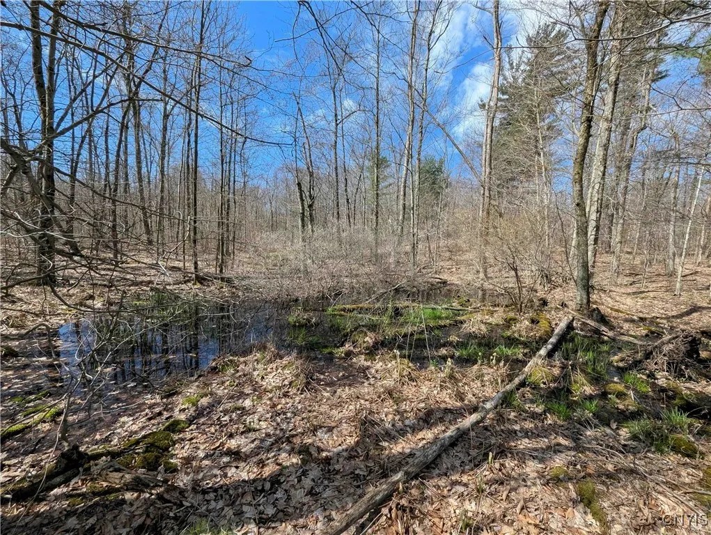 Swartz Road, Springwater, New York 14437, Springwater, New York 14437, ,Land,Closed,Swartz Road, Springwater, New York 14437,0,S1604010