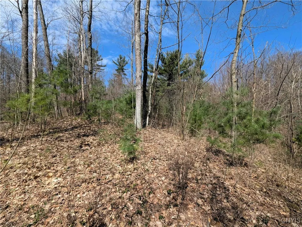 Swartz Road, Springwater, New York 14437, Springwater, New York 14437, ,Land,Closed,Swartz Road, Springwater, New York 14437,0,S1604010