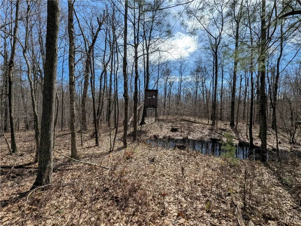 Swartz Road, Springwater, New York 14437, Springwater, New York 14437, ,Land,Closed,Swartz Road, Springwater, New York 14437,0,S1604010